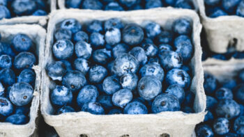 blueberries